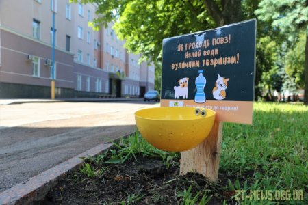 У Житомирі встановлюють поїлки для вуличних тварин