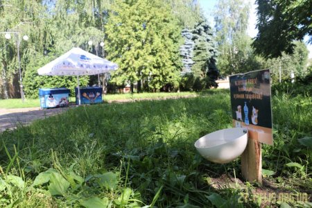 У Житомирі встановлюють поїлки для вуличних тварин