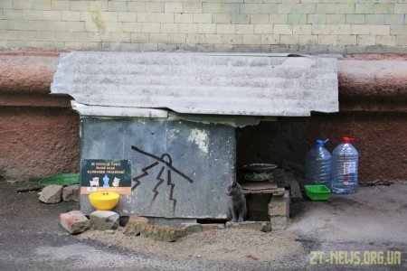 У Житомирі встановлюють поїлки для вуличних тварин