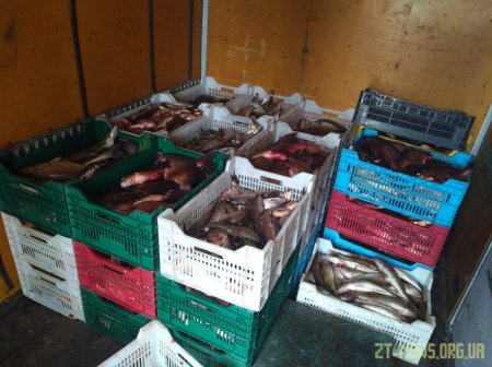 Прикордонники Житомирського загону виявили автомобіль з вантажем риби, яку перевозили з порушеннями