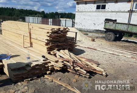 Неподалік Коростишева поліцейські закрили підпільну пилораму по переробці необлікованого лісу