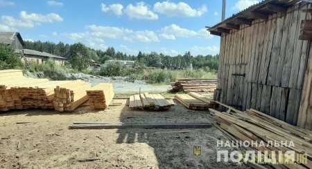 Неподалік Коростишева поліцейські закрили підпільну пилораму по переробці необлікованого лісу