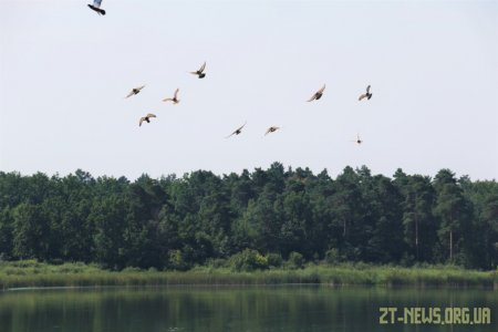 Триває підготовка до проведення V турніру з плавання на відкритій воді “Teteriv open”