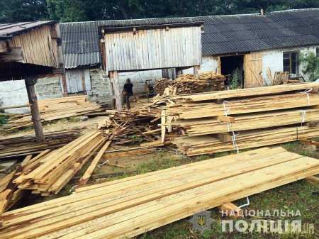 Малинські поліцейські припинили незаконну роботу пилорами