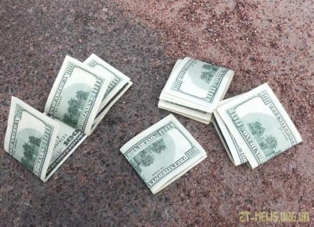 У Житомирі СБУ викрила на корупції посадовця Державної екологічної інспекції