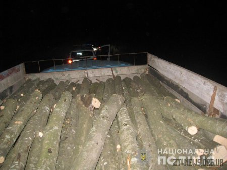 Поліцейські Житомирщини продовжують рейди з протидії розкраданню лісу