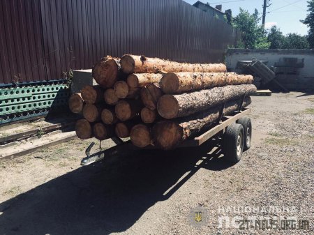 Поліцейські Житомирщини продовжують рейди з протидії розкраданню лісу