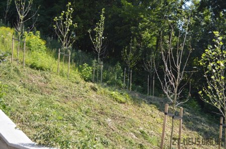Роботи з реконструкції набережної річки Тетерів продовжуються