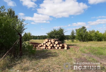 Коростишівські правоохоронці викрили пилораму з необлікованим лісоматеріалом