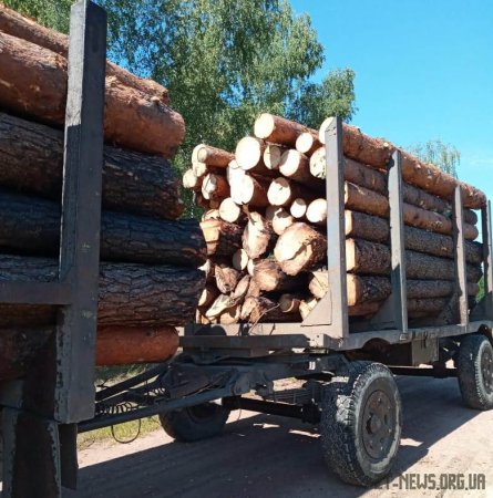На Житомирщині прикордонники виявили УРАЛ з краденою деревиною