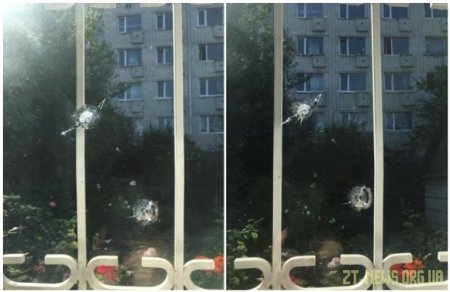 У Житомирі студенти обстріляли з пістолету приватний будинок