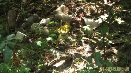 У Всесвітній день прибирання житомиряни збирали сміття у парках