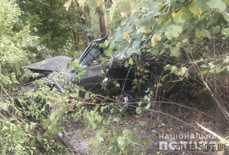 Поблизу Житомира Mercedes Vito влетів у припаркований на узбіччі ВАЗ