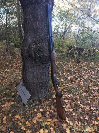 Незаконне полювання та вбитий лось - в зоні ЧАЕС затримано браконьєра