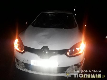 Смертельне ДТП у Любарському районі: загинув велосипедист