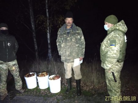 В Чорнобильській зоні затримано поціновувачів  радіоактивних грибів 
