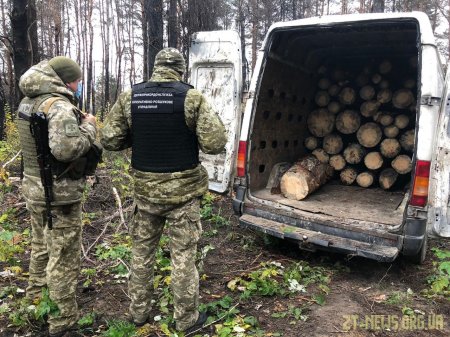 Прикордонники Житомирського загону завадили крадіжці  та незаконному перевезенню лісу