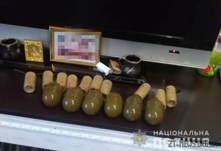 Поліцейські вилучили у квартирі житомирянина гранати