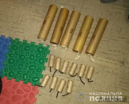 Поліцейські вилучили у квартирі житомирянина гранати