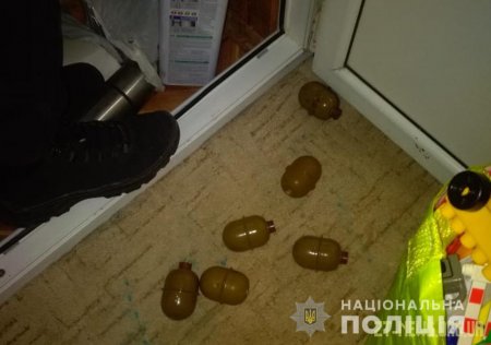 Поліцейські вилучили у квартирі житомирянина гранати