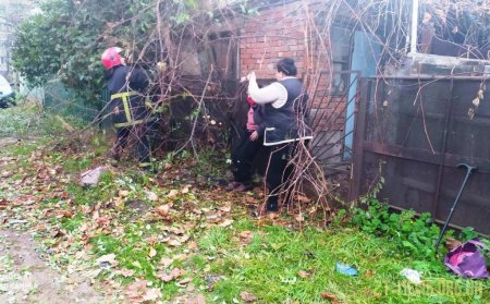 В Коростені рятувальники вивільнили жінку, яка застрягла на паркані між деревами