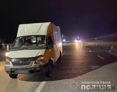 Поблизу Житомира маршрутка насмерть збила чоловіка
