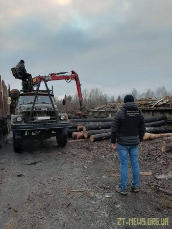 Під час обшуків на пилорамі у прикордонні Житомирщини виявили деревину невстановленого походження