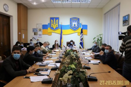 Зменшити чисельність безпритульних тварин на 25% планують у Житомирі
