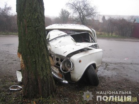 У Бердичеві "копійка" влетіла у дерево, є травмований