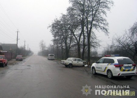 У Бердичеві "копійка" влетіла у дерево, є травмований