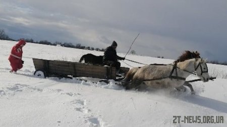 На Житомирщині дівчину через замети везли до лікарні кіньми, пожежним авто та автомобілем швидкої