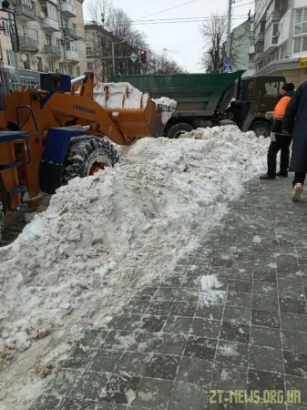 Комунальні служби у Житомирі вивезли близько 700 тонн снігу