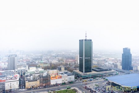 Ким можна влаштуватися працювати в Польщі на 2021 рік