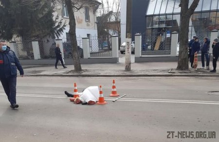 На Покровській водій на смерть збив жінку та двох собак і втік