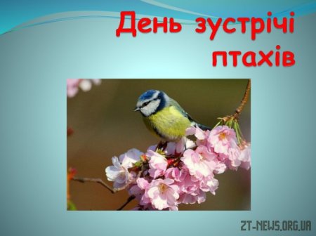 День зустрічі птахів