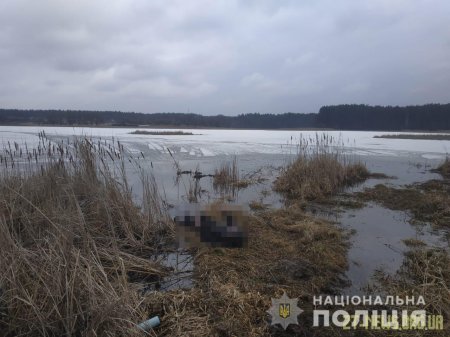 Тіло зниклого на Житомирщині 17-річного хлопця знайшли в очереті