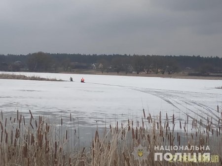 Тіло зниклого на Житомирщині 17-річного хлопця знайшли в очереті