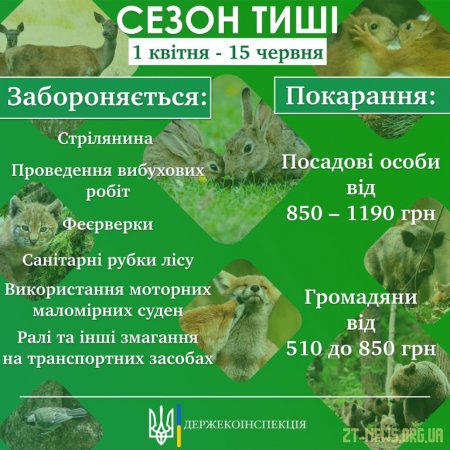 У лісах Житомирщини з 1 квітня буде введено "сезон тиші"