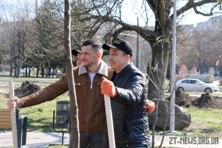 У Житомирі висадили 1000 нових дерев за день