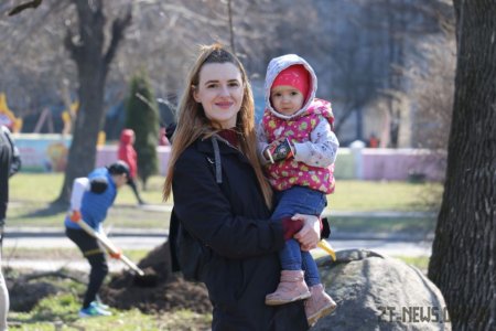 У Житомирі висадили 1000 нових дерев за день