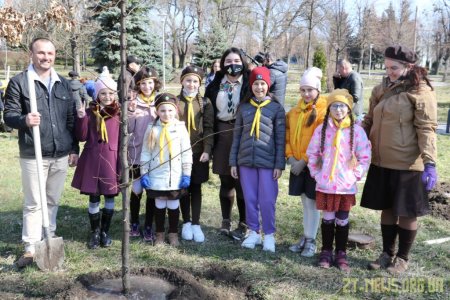 У Житомирі висадили 1000 нових дерев за день