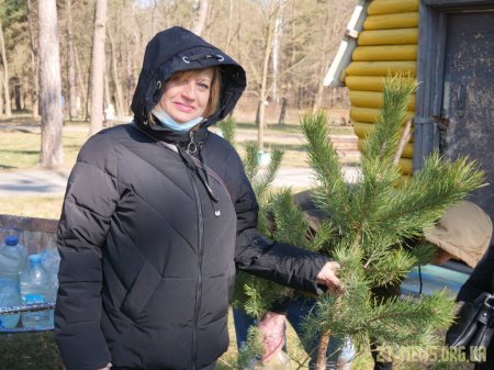 У Житомирі висадили 1000 нових дерев за день