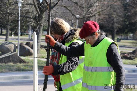 У Житомирі висадили 1000 нових дерев за день