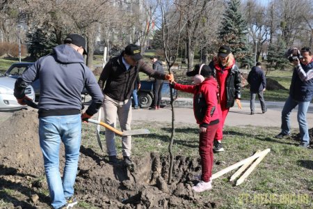 У Житомирі висадили 1000 нових дерев за день