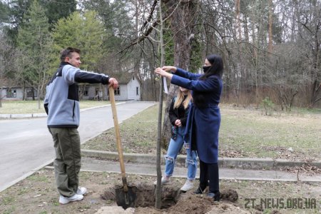 Сьомий будинок сімейного типу відкрили у Житомирі