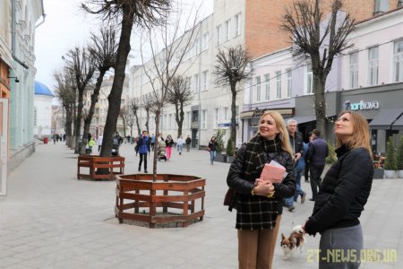 На Михайлівській фасади будівель розфарбують кольорами логотипу Житомира