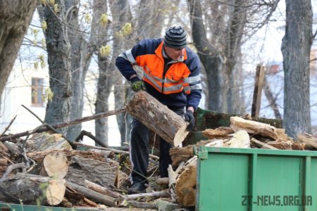 У Житомирі провели акцію #Чистийдень