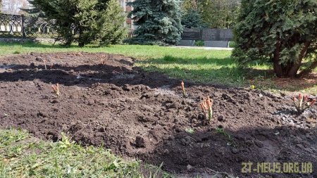 У Житомирі вшанували пам'ять загиблих ліквідаторів аварії на Чорнобильській АЕС