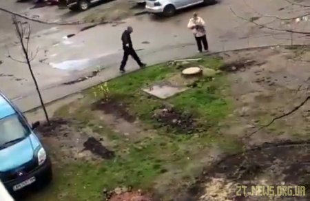 У Житомирі автохам вирвав зелені насадження та припаркував автомобіль на зеленій зоні
