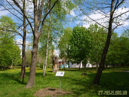 Студенти ЖДУ в міському парку встановили поблизу дерев інформаційні таблички з QR-кодами